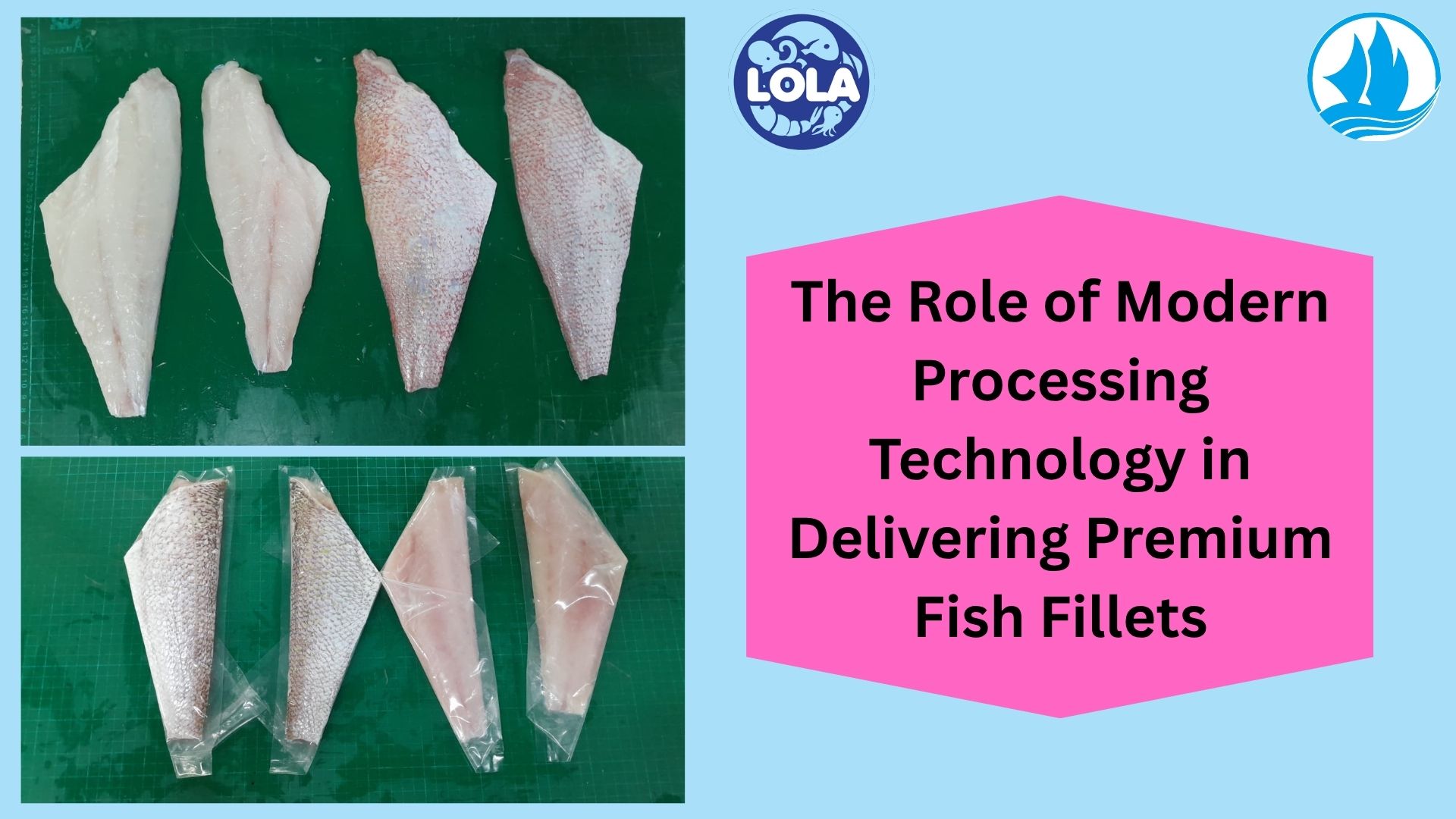  The Role of Modern Processing Technology in Delivering Premium Fish Fillets